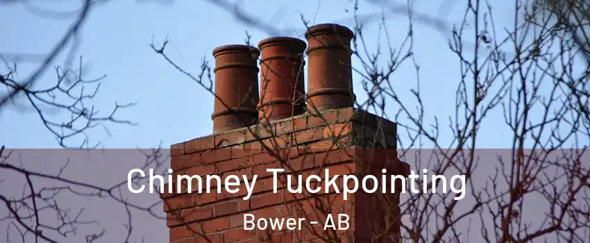 Chimney Tuckpointing Bower - AB