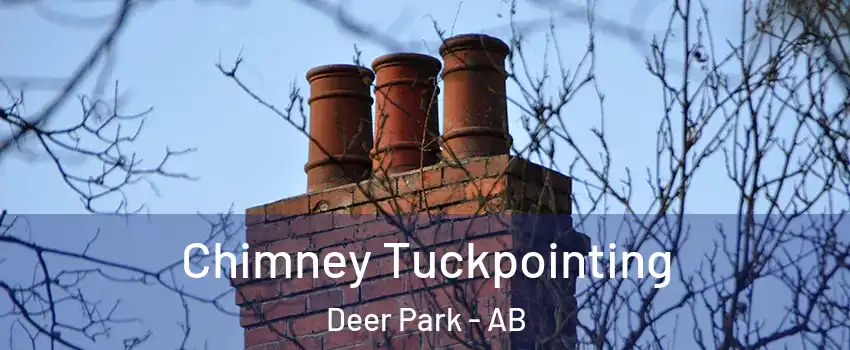 Chimney Tuckpointing Deer Park - AB