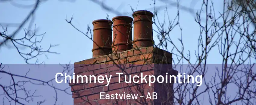 Chimney Tuckpointing Eastview - AB