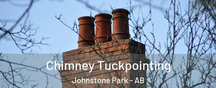  Chimney Tuckpointing Johnstone Park - AB
