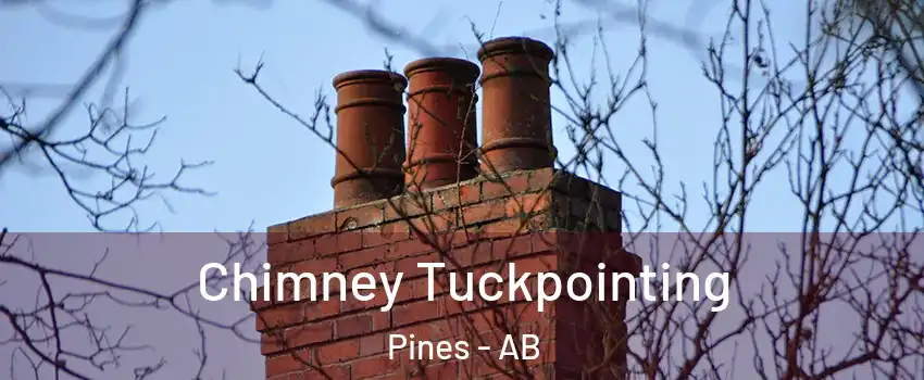 Chimney Tuckpointing Pines - AB