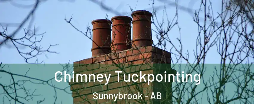  Chimney Tuckpointing Sunnybrook - AB