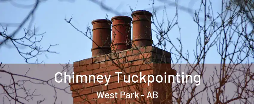 Chimney Tuckpointing West Park - AB