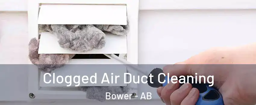 Clogged Air Duct Cleaning Bower - AB