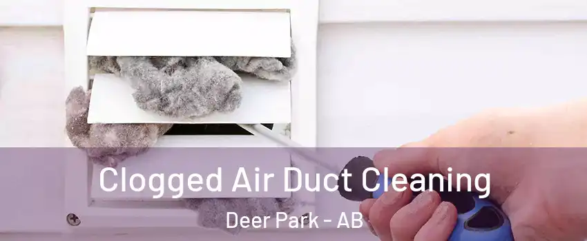 Clogged Air Duct Cleaning Deer Park - AB