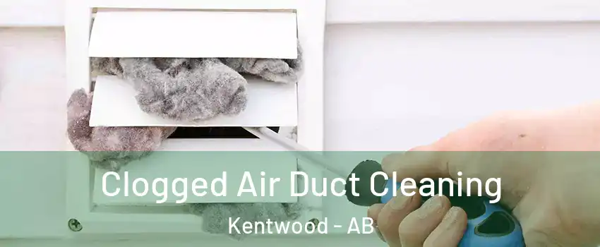  Clogged Air Duct Cleaning Kentwood - AB