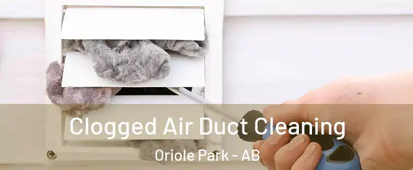 Clogged Air Duct Cleaning Oriole Park - AB
