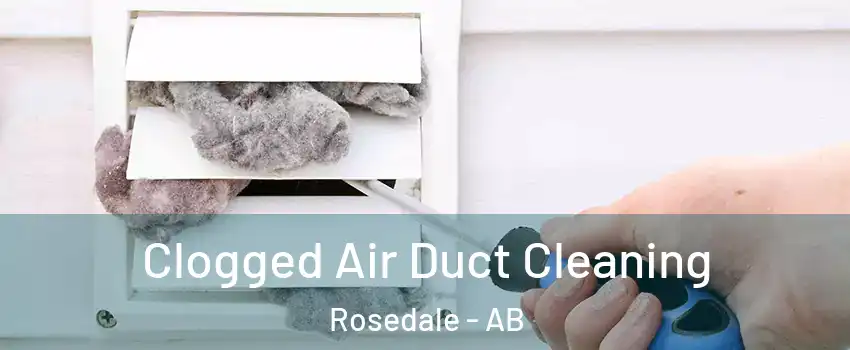 Clogged Air Duct Cleaning Rosedale - AB