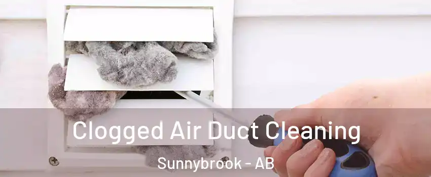 Clogged Air Duct Cleaning Sunnybrook - AB