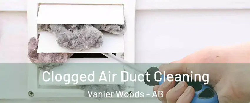 Clogged Air Duct Cleaning Vanier Woods - AB