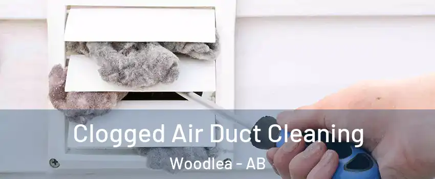 Clogged Air Duct Cleaning Woodlea - AB