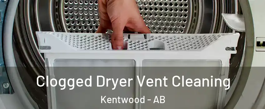 Clogged Dryer Vent Cleaning Kentwood - AB