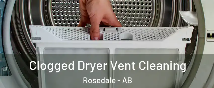  Clogged Dryer Vent Cleaning Rosedale - AB