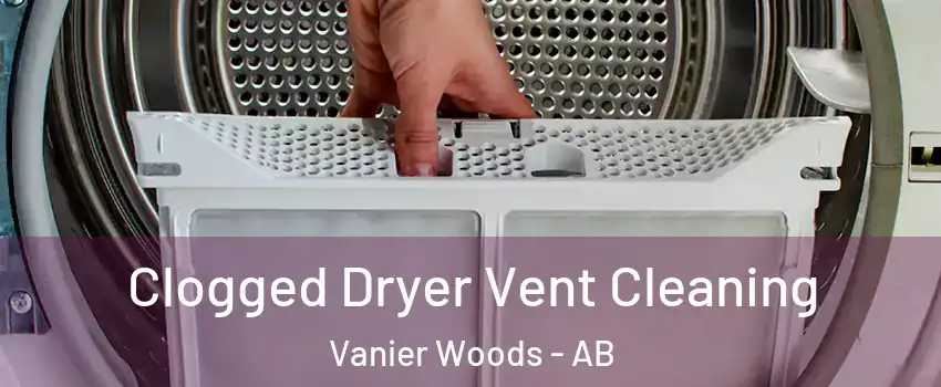 Clogged Dryer Vent Cleaning Vanier Woods - AB