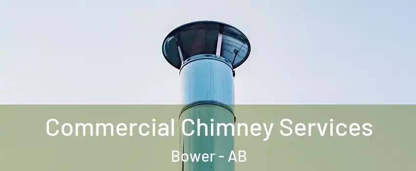 Commercial Chimney Services Bower - AB