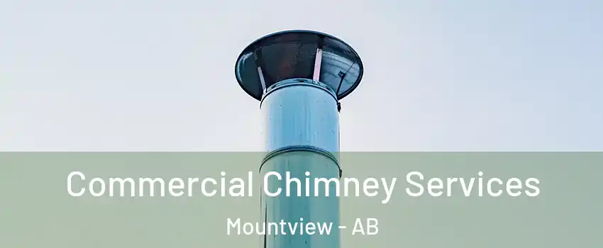 Commercial Chimney Services Mountview - AB