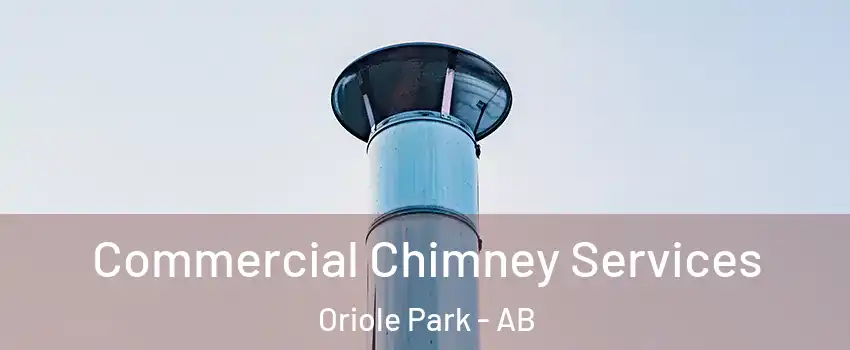 Commercial Chimney Services Oriole Park - AB