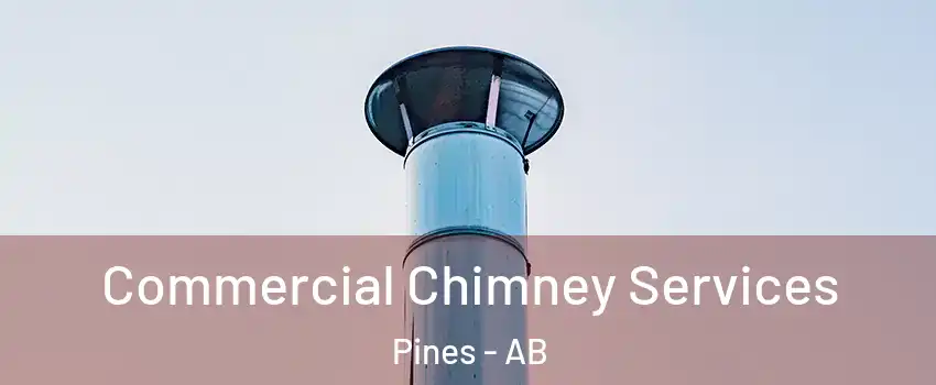 Commercial Chimney Services Pines - AB