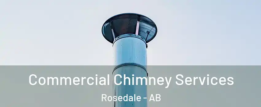 Commercial Chimney Services Rosedale - AB