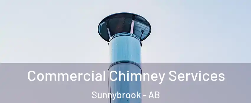 Commercial Chimney Services Sunnybrook - AB