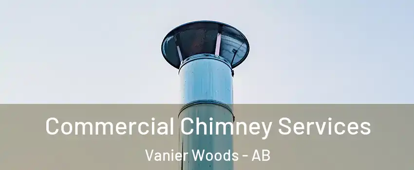 Commercial Chimney Services Vanier Woods - AB