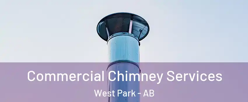 Commercial Chimney Services West Park - AB