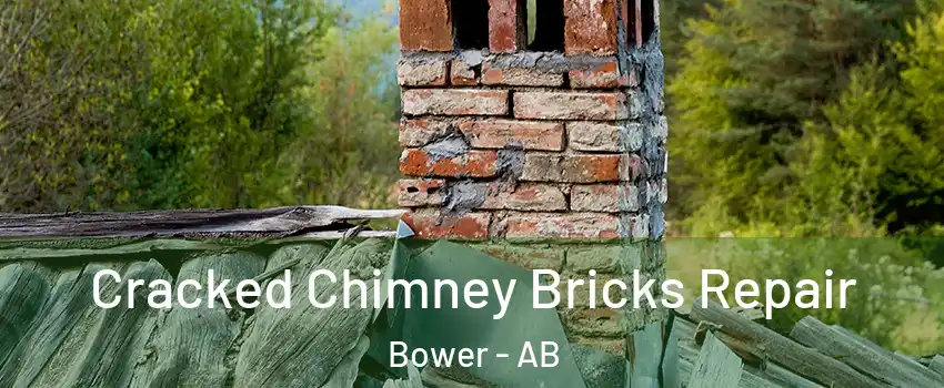 Cracked Chimney Bricks Repair Bower - AB
