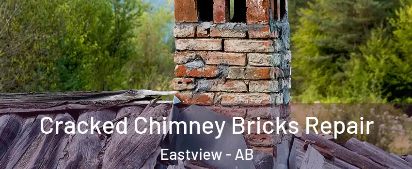 Cracked Chimney Bricks Repair Eastview - AB