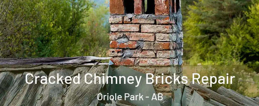 Cracked Chimney Bricks Repair Oriole Park - AB