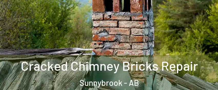 Cracked Chimney Bricks Repair Sunnybrook - AB