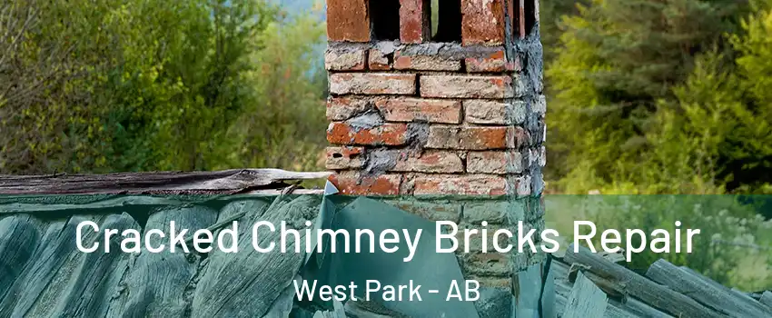 Cracked Chimney Bricks Repair West Park - AB