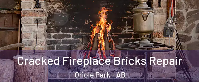 Cracked Fireplace Bricks Repair Oriole Park - AB