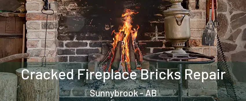 Cracked Fireplace Bricks Repair Sunnybrook - AB