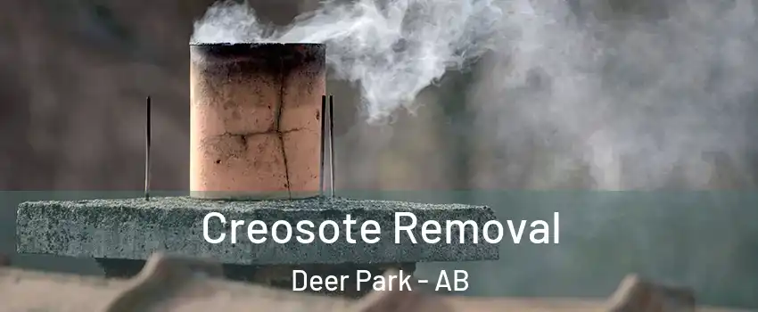 Creosote Removal Deer Park - AB