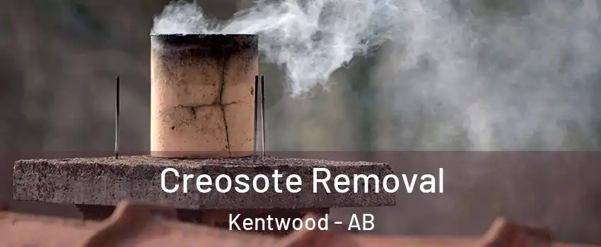 Creosote Removal Kentwood - AB
