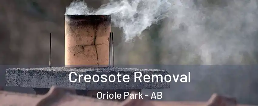 Creosote Removal Oriole Park - AB
