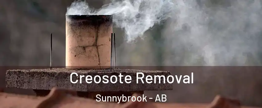  Creosote Removal Sunnybrook - AB