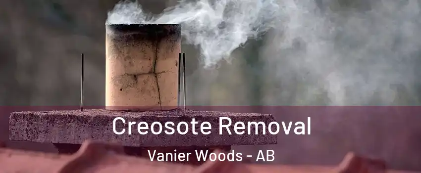 Creosote Removal Vanier Woods - AB