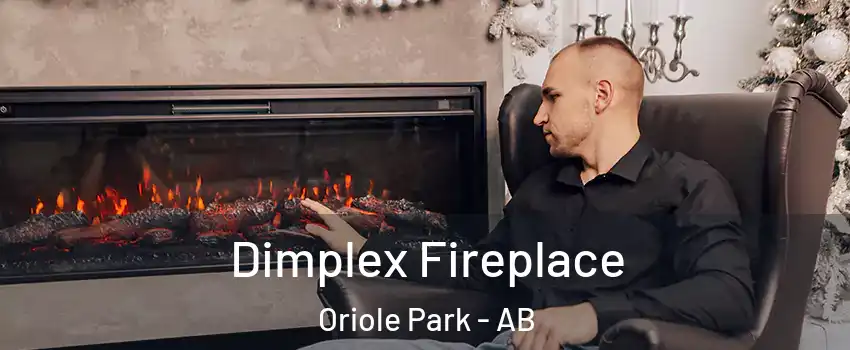  Dimplex Fireplace Oriole Park - AB