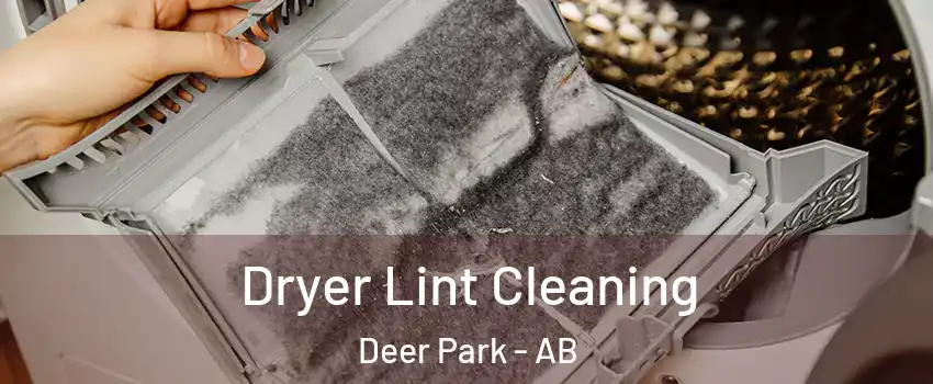 Dryer Lint Cleaning Deer Park - AB