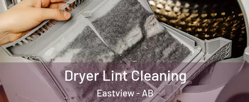 Dryer Lint Cleaning Eastview - AB