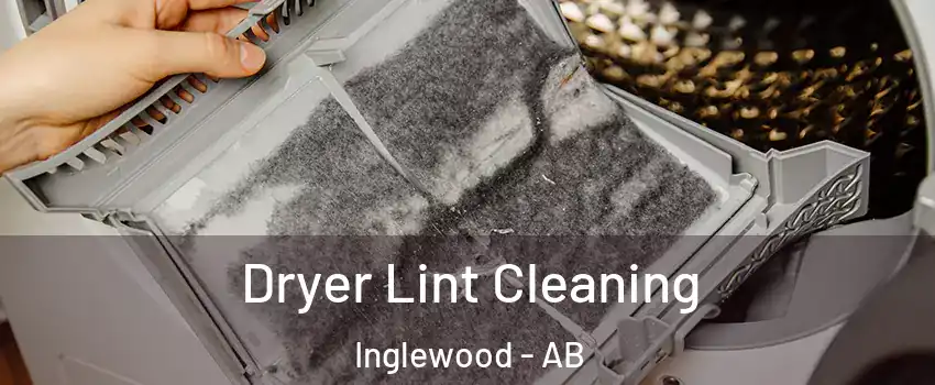  Dryer Lint Cleaning Inglewood - AB
