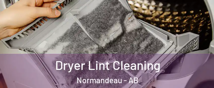Dryer Lint Cleaning Normandeau - AB