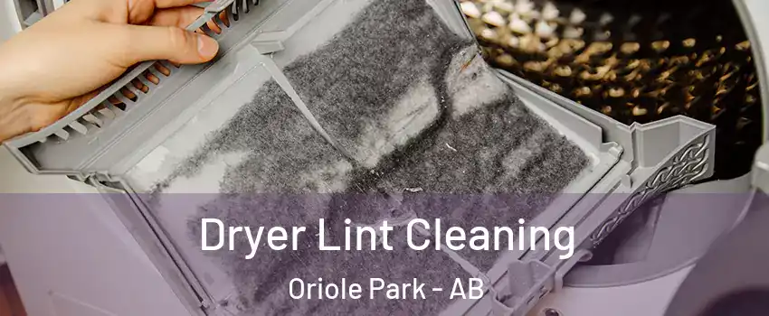  Dryer Lint Cleaning Oriole Park - AB