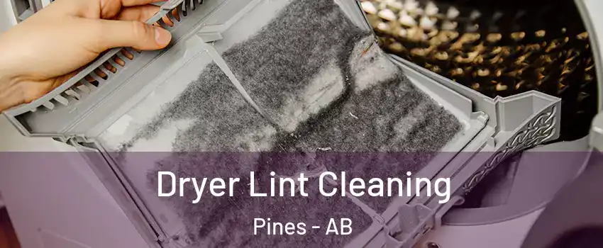 Dryer Lint Cleaning Pines - AB