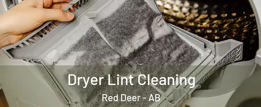 Dryer Lint Cleaning Red Deer - AB