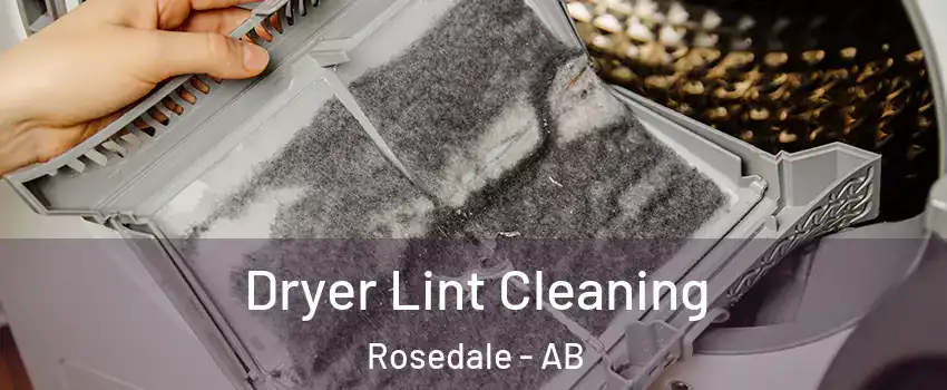 Dryer Lint Cleaning Rosedale - AB