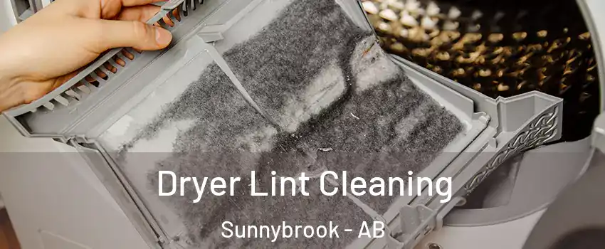 Dryer Lint Cleaning Sunnybrook - AB