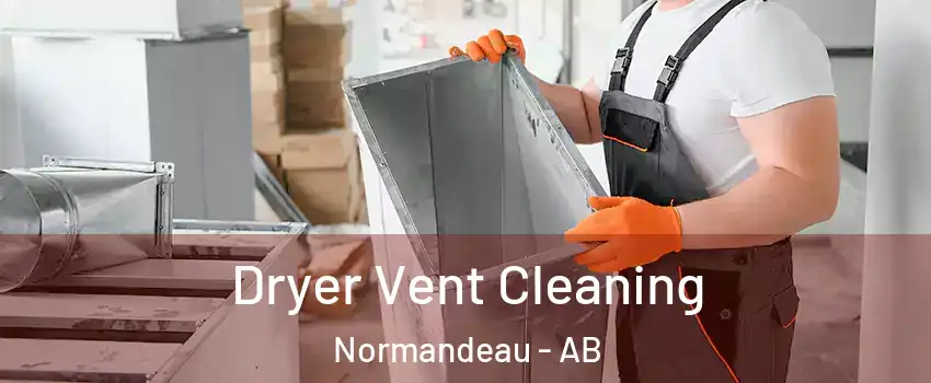  Dryer Vent Cleaning Normandeau - AB