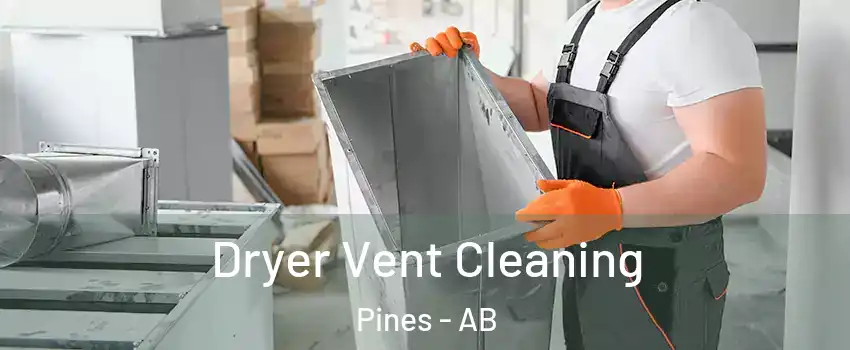 Dryer Vent Cleaning Pines - AB